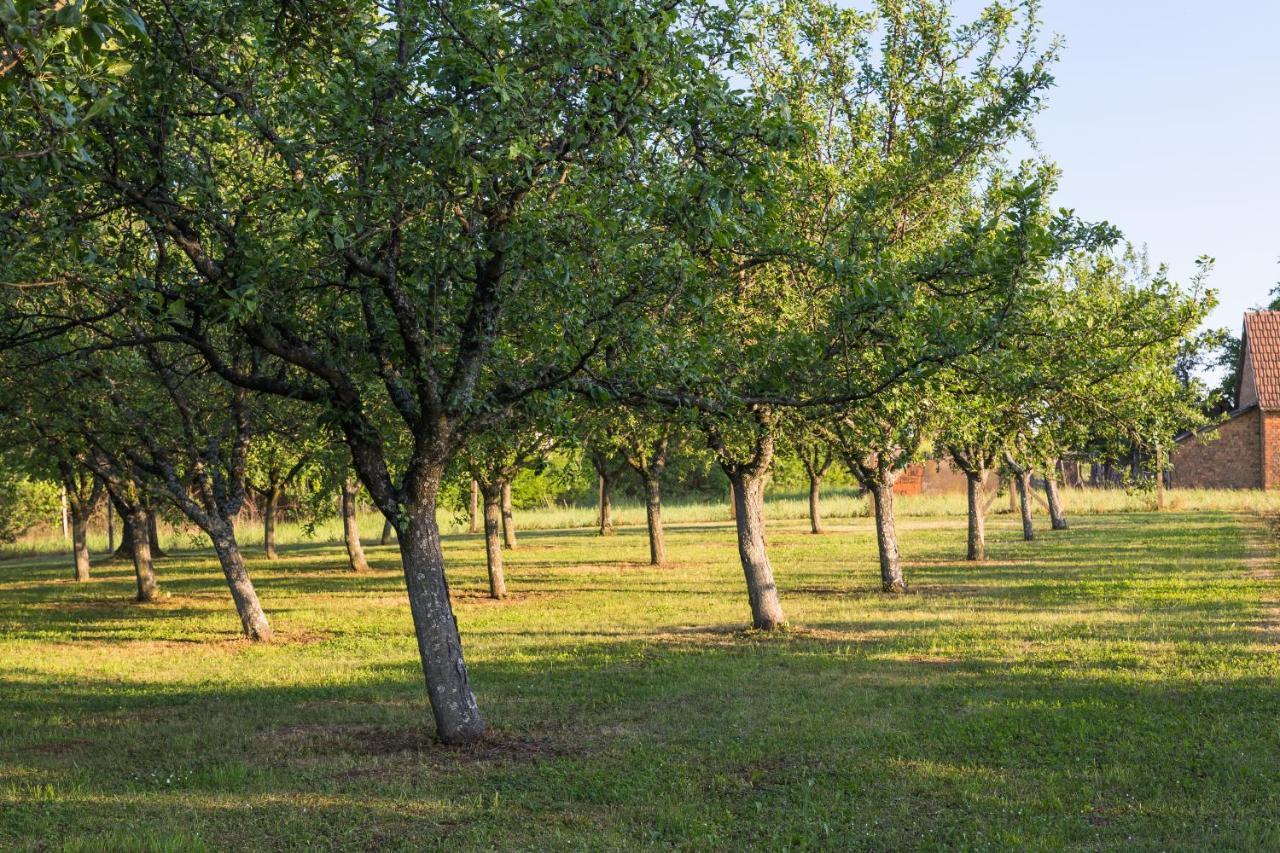 Village Wine House Mandicevac Екстериор снимка