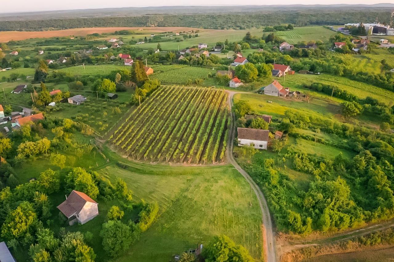 Village Wine House Mandicevac Екстериор снимка