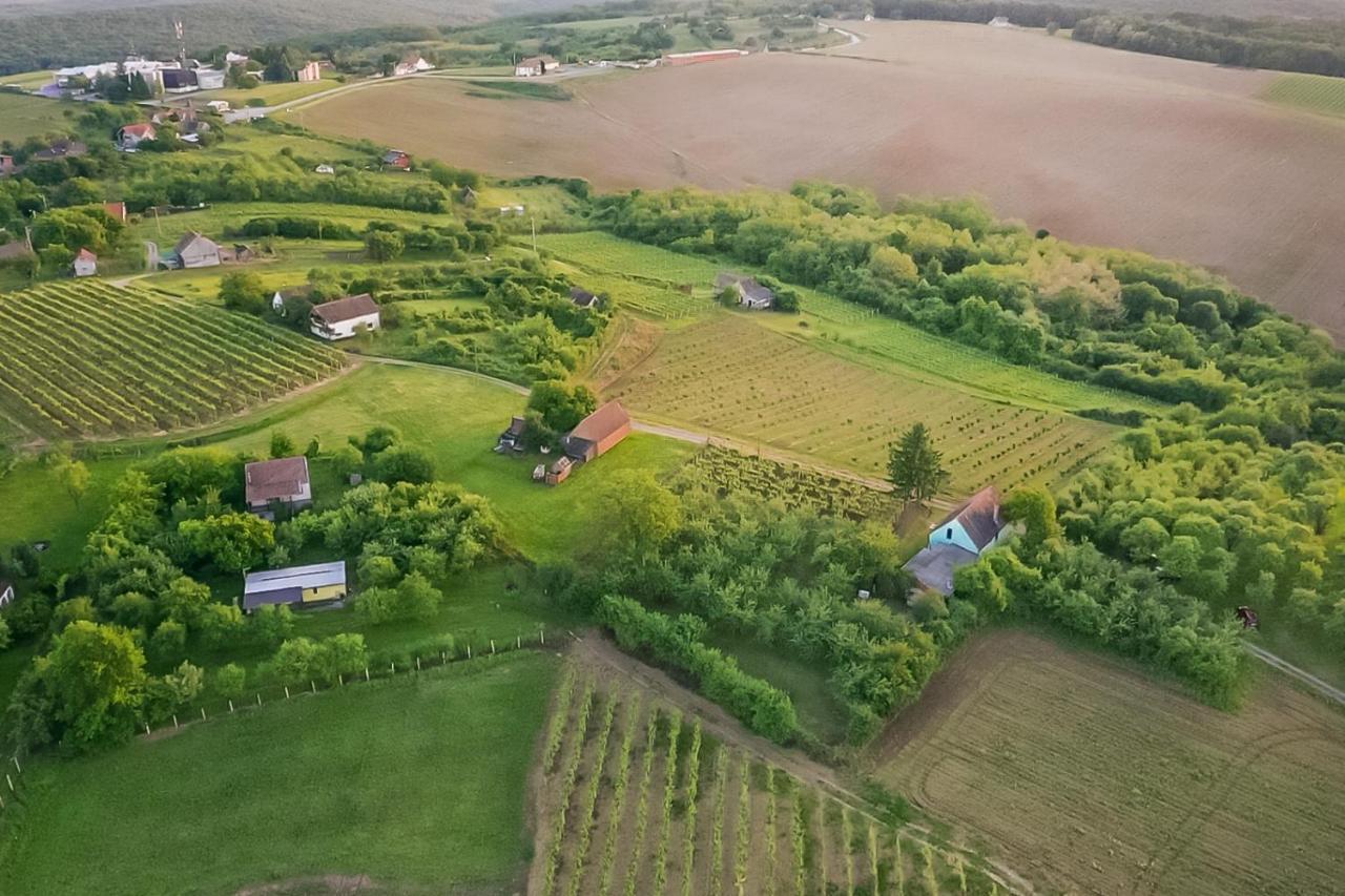 Village Wine House Mandicevac Екстериор снимка