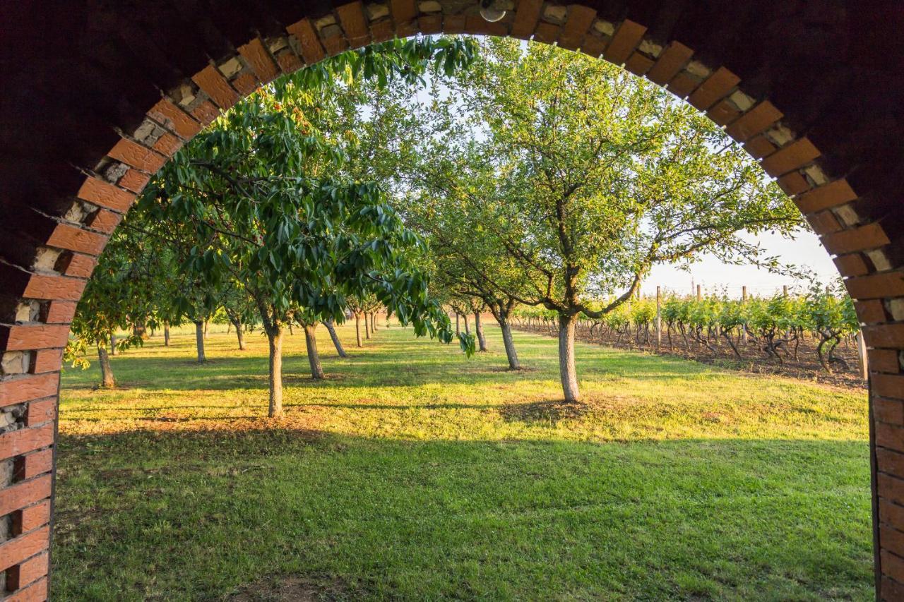 Village Wine House Mandicevac Екстериор снимка