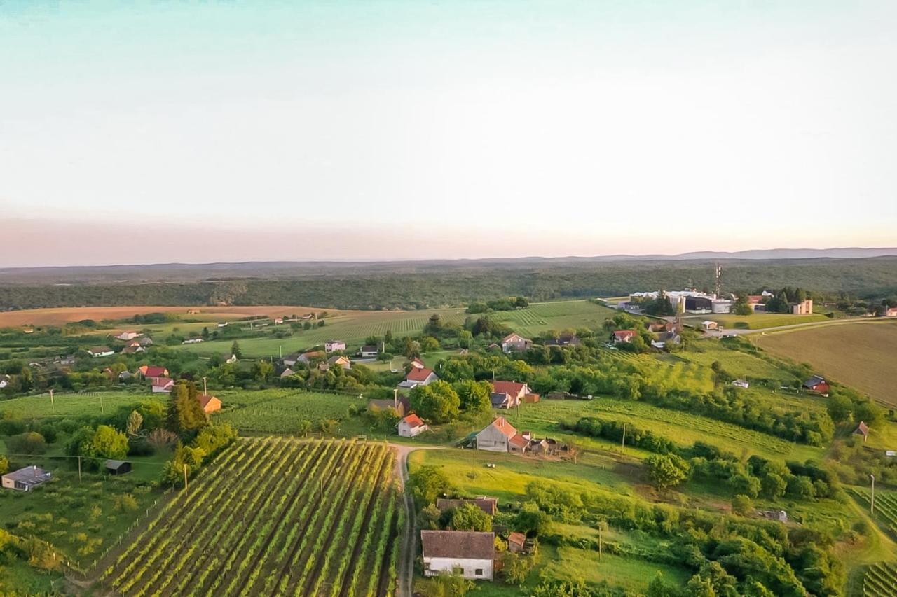Village Wine House Mandicevac Екстериор снимка
