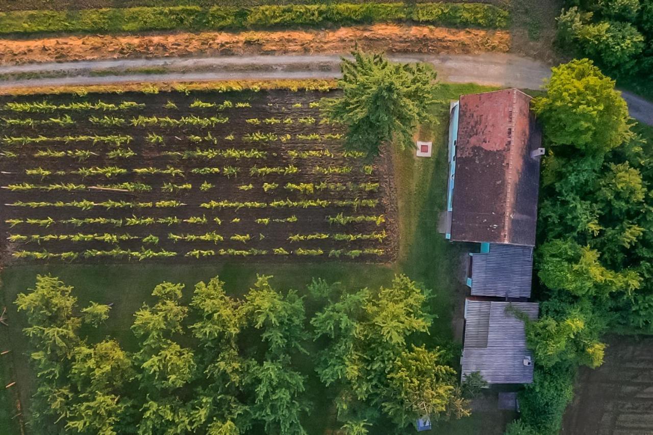 Village Wine House Mandicevac Екстериор снимка