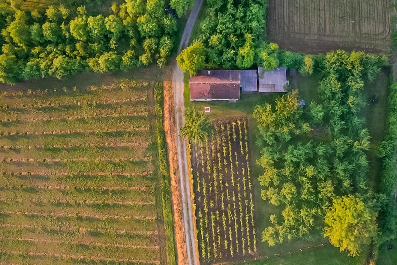 Village Wine House Mandicevac Екстериор снимка