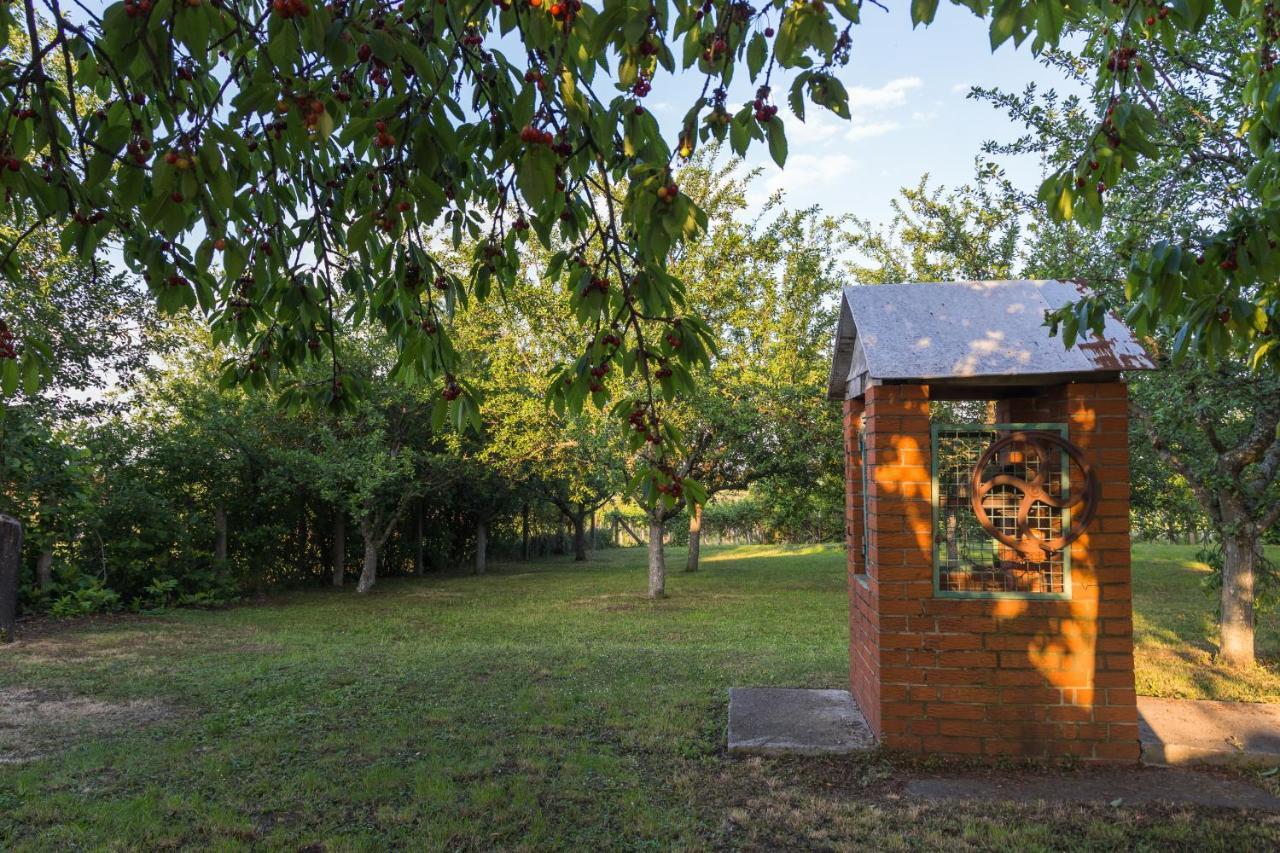 Village Wine House Mandicevac Екстериор снимка