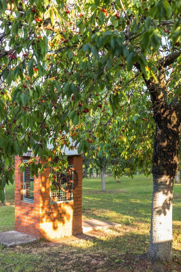 Village Wine House Mandicevac Екстериор снимка