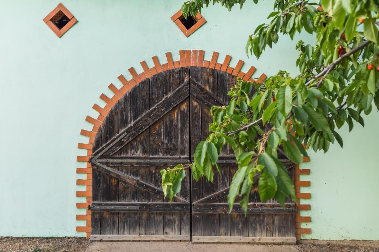 Village Wine House Mandicevac Екстериор снимка