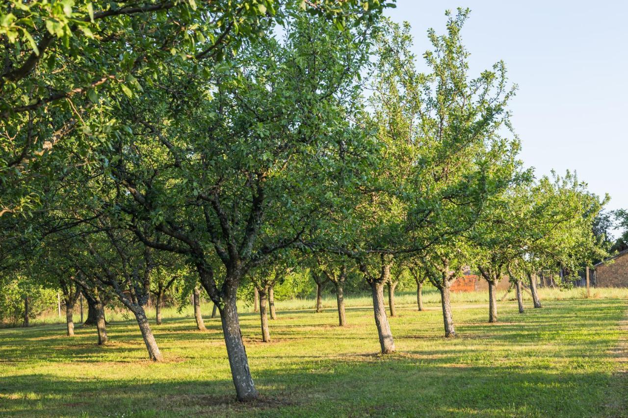 Village Wine House Mandicevac Екстериор снимка