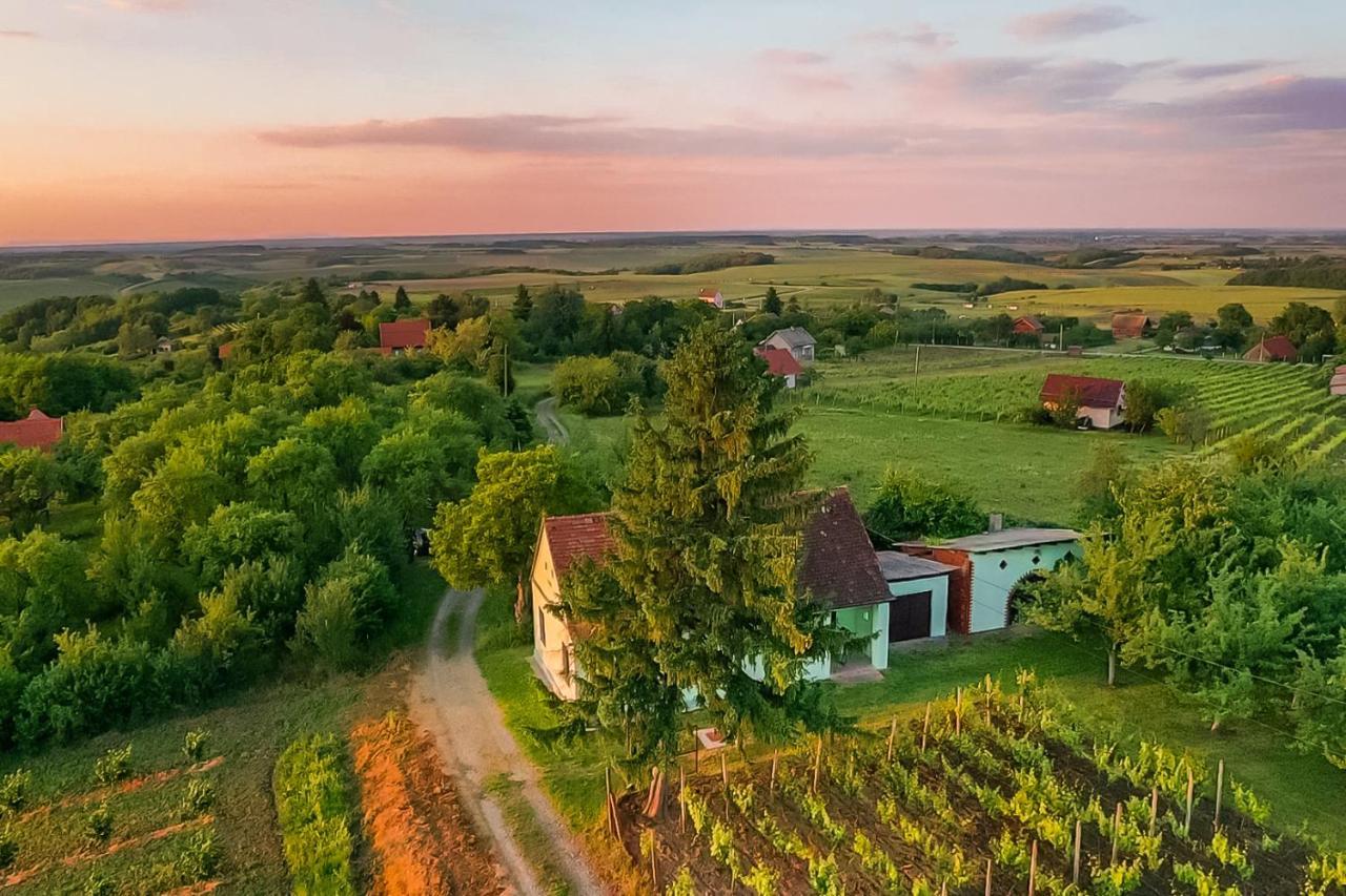 Village Wine House Mandicevac Екстериор снимка