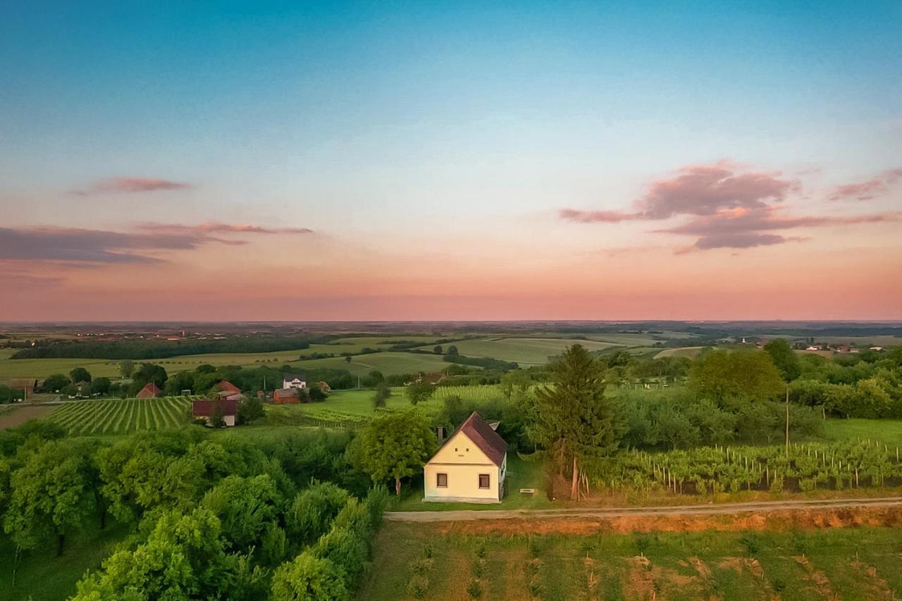Village Wine House Mandicevac Екстериор снимка