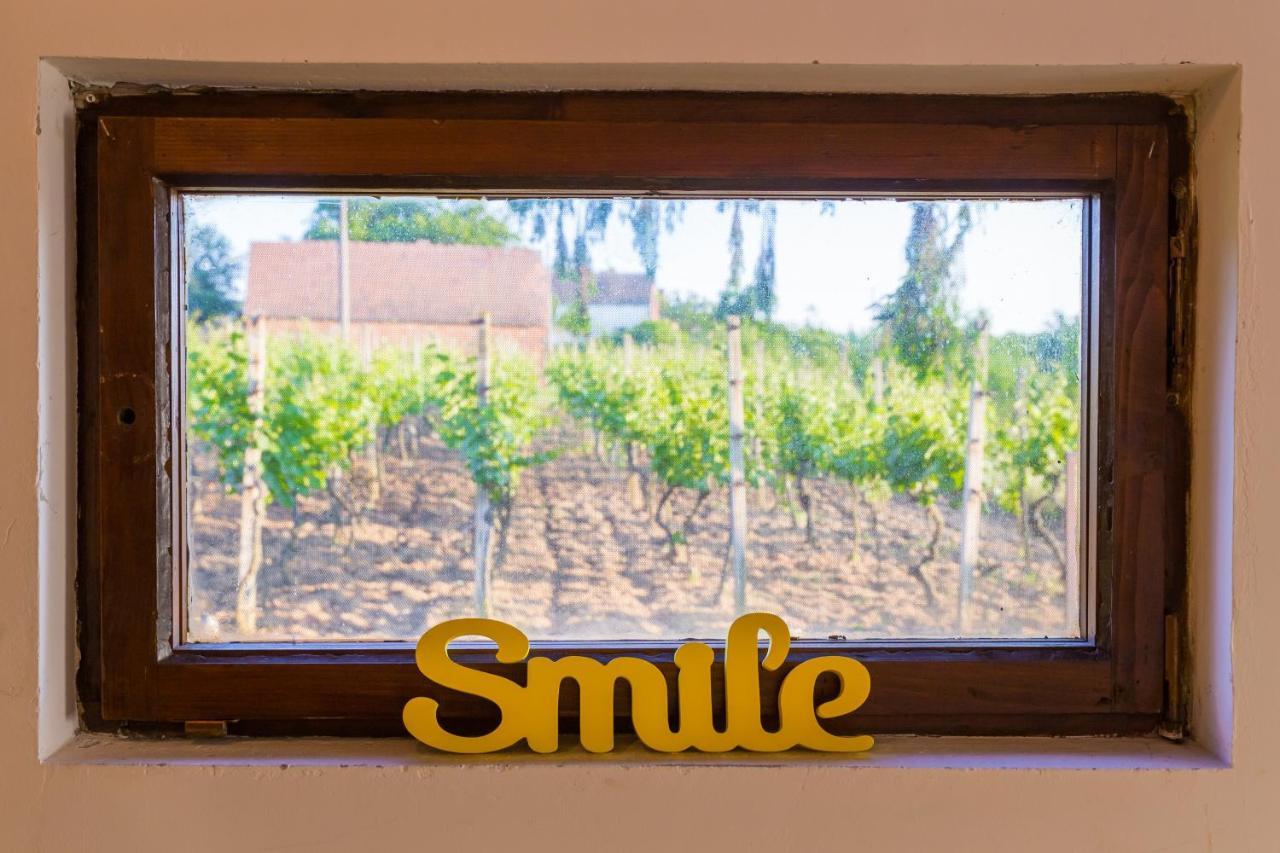 Village Wine House Mandicevac Екстериор снимка