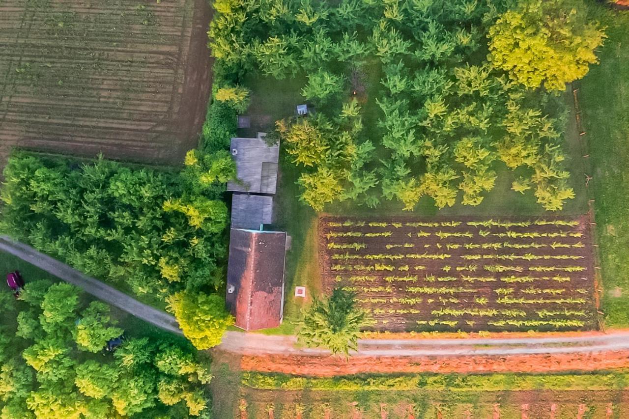 Village Wine House Mandicevac Екстериор снимка