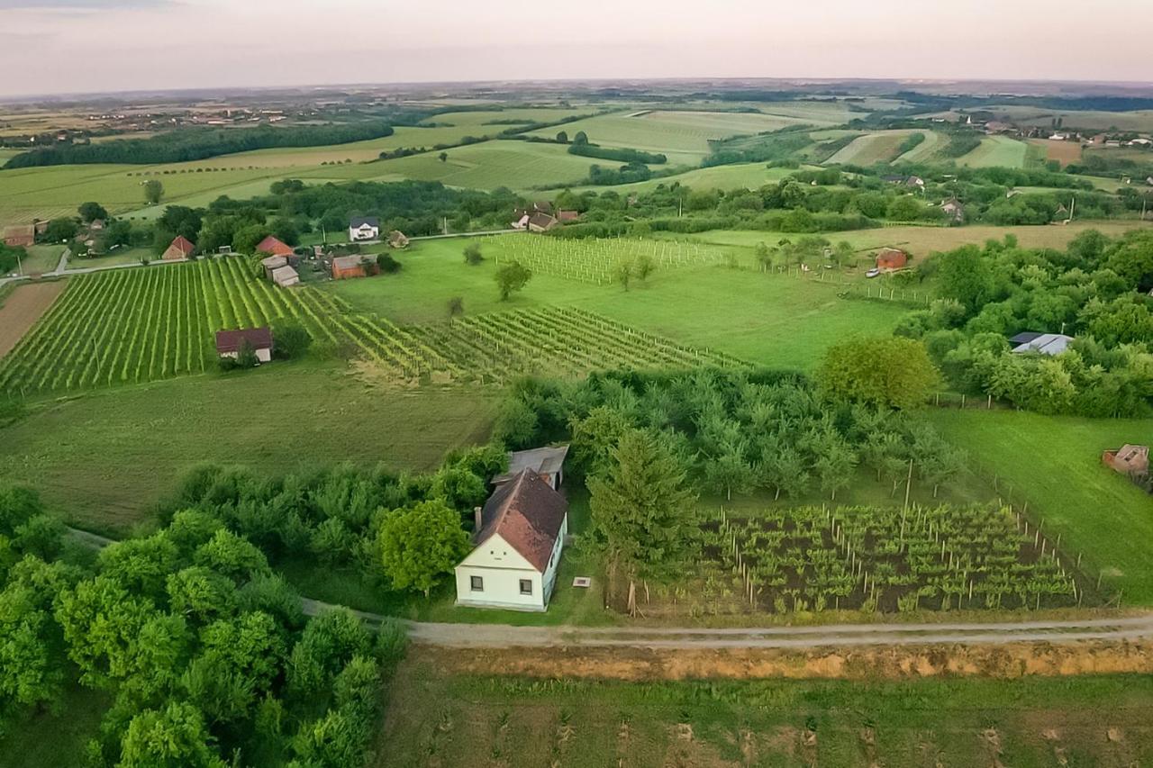 Village Wine House Mandicevac Екстериор снимка