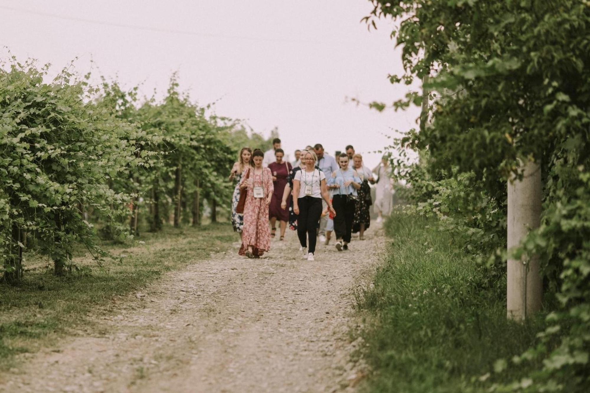 Village Wine House Mandicevac Екстериор снимка